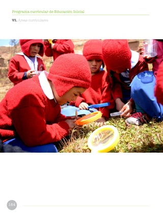 184
Programa curricular de Educación Inicial
VI. Áreas curriculares
 