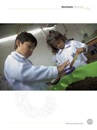 193
Currículo Nacional
cn
Ministerio de Educación
 