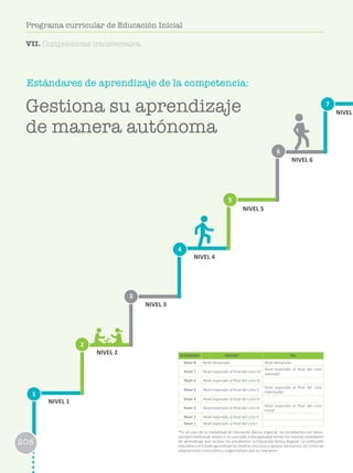 208
Estándares de aprendizaje de la competencia:
1
2
3
6
4
7
5
NIVEL 1
NIVEL 2
NIVEL 3
NIVEL 4
NIVEL 5
NIVEL 6
NIVEL
VII. Competencias transversales.
ESTÁNDARES EBR/EBE* EBA
Nivel 8 Nivel destacado Nivel destacado
Nivel 7 Nivel esperado al final del ciclo VII
Nivel esperado al final del ciclo
avanzado
Nivel 6 Nivel esperado al final del ciclo VI
Nivel 5 Nivel esperado al final del ciclo V
Nivel esperado al final del ciclo
intermedio
Nivel 4 Nivel esperado al final del ciclo IV
Nivel 3 Nivel esperado al final del ciclo III
Nivel esperado al final del ciclo
Inicial
Nivel 2 Nivel esperado al final del ciclo II
Nivel 1 Nivel esperado al final del ciclo I
*En el caso de la modalidad de Educación Básica Especial, los estudiantes con disca-
pacidad intelectual severa o no asociada a discapacidad tienen los mismos estándares
de aprendizaje que reciben los estudiantes la Educación Básica Regular. La institución
educativa y el Estado garantizan los medios, recursos y apoyos necesarios, así como las
adaptaciones curriculares y organizativas que se requieren.
Gestiona su aprendizaje
de manera autónoma
208
Programa curricular de Educación Inicial
 