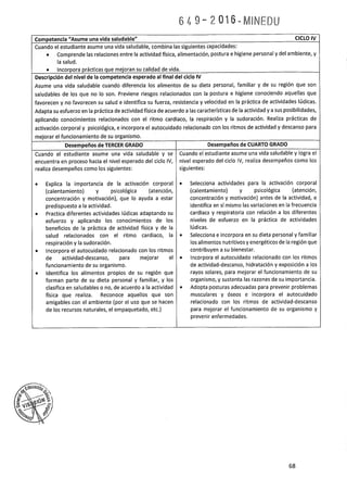 Programa curricular-educacion-primaria