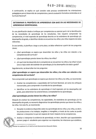 Programa curricular de Educación Primaria 2017