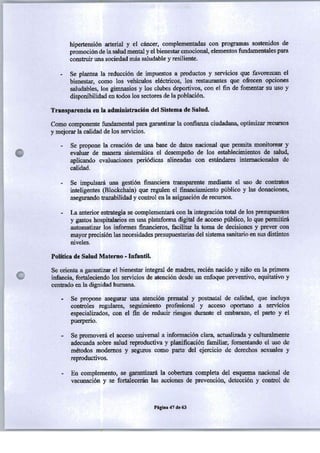 PROGRAMA DE GOBIERNO ALIANZA LIBERTAD Y DEMOCRACIA