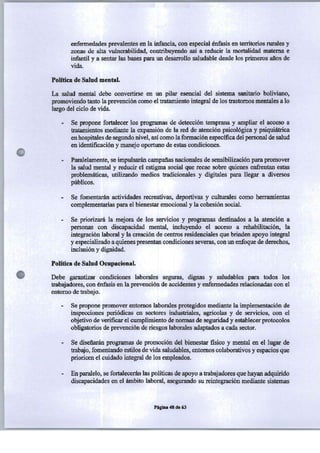 PROGRAMA DE GOBIERNO ALIANZA LIBERTAD Y DEMOCRACIA