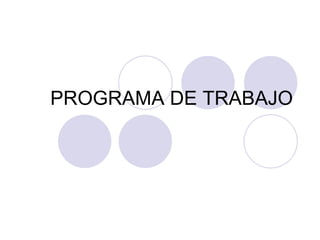 PROGRAMA DE TRABAJO 