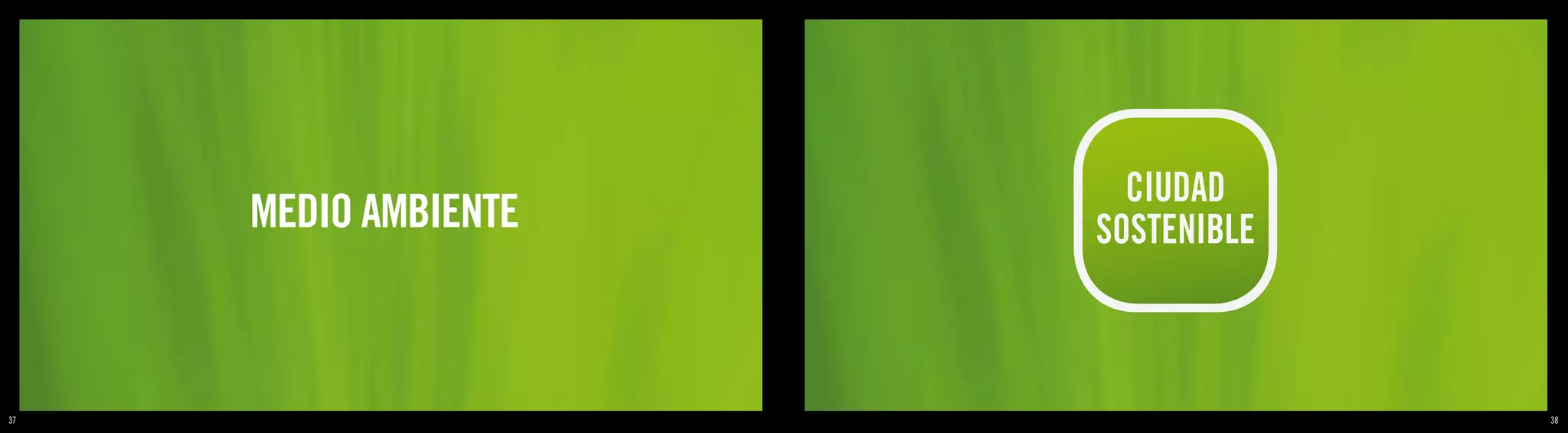 CIUDAD
     MEDIO AMBIENTE   SOSTENIBLE



37                                 38
 