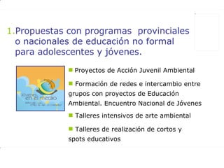 Propuestas con programas  provinciales o nacionales de educación no formal para adolescentes y jóvenes. Talleres intensivos de arte ambiental Talleres de realización de cortos y spots educativos   Proyectos de Acción Juvenil Ambiental Formación de redes e intercambio entre grupos con proyectos de Educación Ambiental. Encuentro Nacional de Jóvenes 
