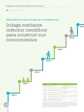 Programa curricular de Educación Inicial
VI. Áreas curriculares
E s t á n d a r e s d e a p r e n d i z a j e d e l a c o m p e t e n c i a :
Indaga mediante
métodos científicos
para construir sus
conocimientos
NIVEL 4
NIVEL 3
ESTÁNDARES EBR/EBE* EBA
N iv e l 8 N ive l d e s ta c a d o N ive l d e s ta c a d o
N iv e l 7 N ive l e s p e ra d o al fin a l d e l c ic lo VII
N ive l e s p e ra d o al fin a l d e l c ic lo
a v a n z a d o
N iv e l 6 N ive l e s p e ra d o al fin a l d e l c ic lo VI
N iv e l 5 N ive l e s p e ra d o al fin a l d e l c ic lo V
N ive l e s p e ra d o al fin a l d e l c ic lo
in te rm e d io
N iv e l 4 N ive l e s p e ra d o al fin a l d e l c ic lo IV
N iv e l 3 N ive l e s p e ra d o al fin a l d e l c ic lo III
N ive l e s p e ra d o al fin a l d e l c ic lo
In ic ia l
N iv e l 2 N ive l e s p e ra d o al fin a l d e l c ic lo II
N iv e l 1 N ive l e s p e ra d o al fin a l d e l c ic lo I
*E n el caso de la m o d a lid a d de E d u c a c ió n Básica E sp e cia l, lo s e s tu d ia n te s c o n d is c a ­
p a c id a d in te le c tu a l se ve ra o n o a s o c ia d a a d is c a p a c id a d tie n e n lo s m is m o s e s tá n d a re s
de a p re n d iz a je q u e re c ib e n los e s tu d ia n te s la E d u c a c ió n Básica R egular. La in s titu c ió n
e d u c a tiv a y el E sta d o g a ra n tiz a n lo s m e d io s , re c u rs o s y a p o y o s n e c e s a rio s , así c o m o las
a d a p ta c io n e s c u rric u la re s y o rg a n iz a tiv a s q u e se re q u ie re n .
 