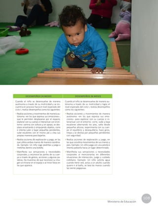 103
Ministerio de Educación
Cuando el niño se desenvuelve de manera
autónoma a través de su motricidad y se en-
cuentra en proceso hacia el nivel esperado del
ciclo I, realiza desempeños como los siguientes:
• Realiza acciones y movimientos de manera au-
tónoma –en los que expresa sus emociones–,
que le permiten desplazarse por el espacio,
explorar con su cuerpo e interactuar con el en-
torno: camina con soltura y sin apoyo, se des-
plaza arrastrando o empujando objetos, corre
e intenta subir o bajar pequeñas pendientes,
sube escalones con el mismo pie y crea sus
propias maneras para bajarlos.
• Realiza acciones de exploración y juego, en las
que utiliza ambas manos de manera coordina-
da. Ejemplo: Un niño coge piedritas y juega a
meterlas dentro una botella.
• Manifiesta sus sensaciones y necesidades
corporales, y reconoce las partes de su cuer-
po a través de gestos, acciones y algunas pa-
labras. Da muestras de que reconoce su ima-
gen al mirarse en el espejo o al mirar fotos en
las que aparece.
Cuando el niño se desenvuelve de manera au-
tónoma a través de su motricidad y logra el
nivel esperado del ciclo I, realiza desempeños
como los siguientes:
• Realiza acciones y movimientos de manera
autónoma –en los que expresa sus emo-
ciones– para explorar con su cuerpo e in-
teractuar con el entorno: corre, sube y baja
escalones alternando los pies, salta desde
pequeñas alturas, experimenta con su cuer-
po el equilibrio y desequilibrio, hace giros,
trepa y se desliza por pequeñas pendientes
con seguridad.
• Realiza acciones de exploración y juego, en
las que coordina movimientos de sus manos y
pies. Ejemplo: Un niño juega con una pelota e
intenta patearla hacia un lugar determinado.
• Manifiesta sus sensaciones y necesidades
corporales al mencionarlas en diferentes
situaciones de interacción, juego y cuidado
cotidiano. Ejemplo: Un niño solicita agua
cuando tiene sed, avisa a un adulto cuando
quiere ir al baño, se lava las manos cuando
las siente pegajosas.
DESEMPEÑOS 24 MESES DESEMPEÑOS 36 MESES
 