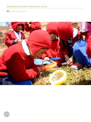 182
Programa curricular de Educación Inicial
VI. Áreas curriculares
 