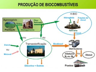 PRODUÇÃO DE BIOCOMBUSTÍVEIS 