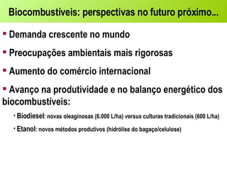 Biocombustíveis: perspectivas no futuro próximo... Demanda crescente no mundo Preocupações ambientais mais rigorosas Aumento do comércio internacional Avanço na produtividade e no balanço energético dos biocombustíveis:  Biodiesel : novas oleaginosas (6.000 L/ha)  versus  culturas tradicionais (600 L/ha) Etanol : novos métodos produtivos (hidrólise do bagaço/celulose) 