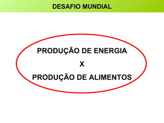 PRODUÇÃO DE ENERGIA X PRODUÇÃO DE ALIMENTOS DESAFIO MUNDIAL 