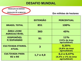 PRODUÇÃO DE ENERGIA X PRODUÇÃO DE ALIMENTOS DESAFIO MUNDIAL Em milhões de hectares 0,2 a 0,47% (0,4% a 1% da área agricultável) 1,7 a 4,0 CULTIVADA PARA  B2 e B5 0,35% (0,8% da área agricultável) 3 CULTIVADA ETANOL ATUAL 11% (24% da área agricultável) 91 DISPONÍVEL P/EXPANSÃO 45% 383 ÁREA LIVRE AGRICULTÁVEL 100% 851 BRASIL TOTAL PERCENTUAL EXTENSÃO 