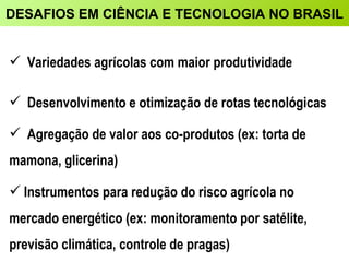 Variedades agrícolas com maior produtividade Desenvolvimento e otimização de rotas tecnológicas Agregação de valor aos co-produtos (ex: torta de mamona, glicerina) Instrumentos para redução do risco agrícola no mercado energético (ex: monitoramento por satélite, previsão climática, controle de pragas) DESAFIOS EM CIÊNCIA E TECNOLOGIA NO BRASIL 