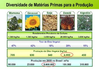 Diversidade de Matérias Primas para a Produção 
