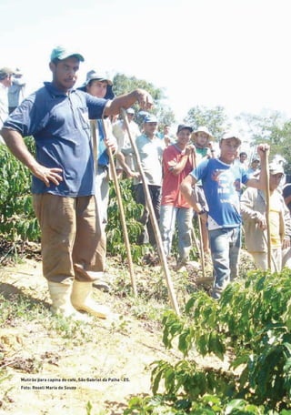 Mutirão para capina do café, São Gabriel da Palha - ES.
Foto: Roseli Maria de Souza
01 - PROGRAMA DE EDUCAÇÃO.indd 10 19/02/2015 16:02:09
 