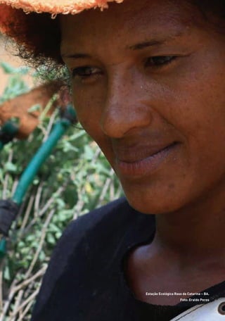 Estação Ecológica Raso da Catarina – BA.
Foto: Eraldo Peres
01 - PROGRAMA DE EDUCAÇÃO.indd 14 19/02/2015 16:02:10
 