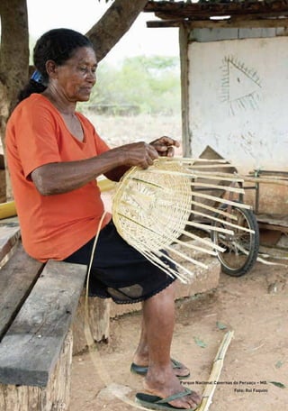 Parque Nacional Cavernas do Peruaçu – MG.
Foto: Rui Faquini
01 - PROGRAMA DE EDUCAÇÃO.indd 22 19/02/2015 16:02:13
 