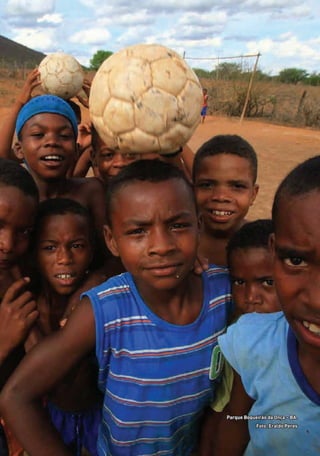Parque Boqueirão da Onça – BA.
Foto: Eraldo Peres
01 - PROGRAMA DE EDUCAÇÃO.indd 30 19/02/2015 16:02:16
 
