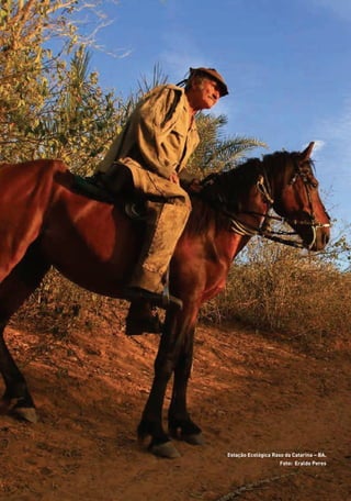 Estação Ecológica Raso da Catarina – BA.
Foto: Eraldo Peres
01 - PROGRAMA DE EDUCAÇÃO.indd 6 19/02/2015 16:02:07
 