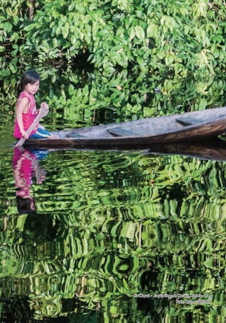 Rio Mapuá - Arquipélago do Marajó, Breves – PA.
Foto: Bruno Coutinho
01 - PROGRAMA DE EDUCAÇÃO.indd 8 19/02/2015 16:02:09
 