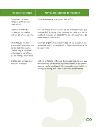 Indicadores de logro Actividades sugeridas de evaluación
Construye, con con-
fianza, la definición de
nivel trófico.
Explica oralmente qué es un nivel trófico.
Reconoce, de forma
coherente, los niveles
tróficos de un ecosistema.
Crea un mapa mental acerca de los niveles tróficos, que
incluya definición de nivel trófico y de cada uno de los
niveles tróficos de un ecosistema, así como ejemplos de
seres de cada nivel trófico.
Identifica, de manera
adecuada, los organismos
de los distintos niveles
tróficos según sus carac-
terísticas y la transferen-
cia de energía entre ellos.
Clasifica organismos observados en su escuela o co-
munidad, según su nivel trófico. Elabora un informe de
lo observado.
Explica, con certeza, qué
es nicho ecológico.
Elabora un folleto, en físico o digital, acerca del papel que
desempeñan los distintos organismos dentro de un eco-
sistema (nicho ecológico). Menciona ejemplos del nicho
ecológico de algunos seres vivos en los ecosistemas.
255
 