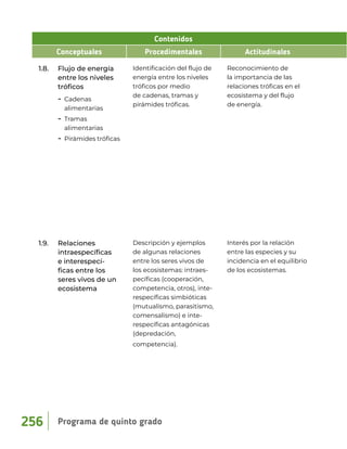 Contenidos
Conceptuales Procedimentales Actitudinales
1.8. Flujo de energía
entre los niveles
tróficos
− Cadenas
alimentarias
− Tramas
alimentarias
− Pirámides tróficas
Identificación del flujo de
energía entre los niveles
tróficos por medio
de cadenas, tramas y
pirámides tróficas.
Reconocimiento de
la importancia de las
relaciones tróficas en el
ecosistema y del flujo
de energía.
1.9. Relaciones
intraespecíficas
e interespecí-
ficas entre los
seres vivos de un
ecosistema
Descripción y ejemplos
de algunas relaciones
entre los seres vivos de
los ecosistemas: intraes-
pecíficas (cooperación,
competencia, otros), inte-
respecíficas simbióticas
(mutualismo, parasitismo,
comensalismo) e inte-
respecíficas antagónicas
(depredación,
competencia).
Interés por la relación
entre las especies y su
incidencia en el equilibrio
de los ecosistemas.
Programa de quinto grado
256
 