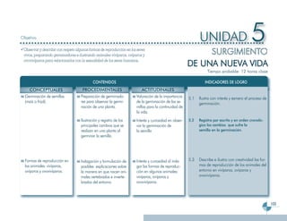Programa Segundo Grado