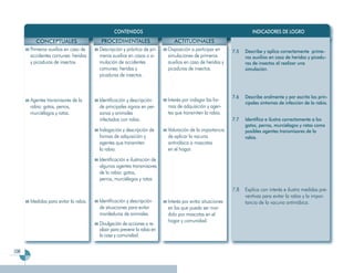 Programa Segundo Grado