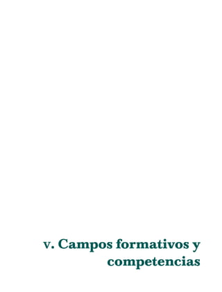 V. Campos formativos y
competencias
07/PEP/CAMPOS-1 6/21/04, 5:17 PM45
 