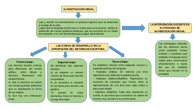 Plan De Estudios 2011 Primer Grado