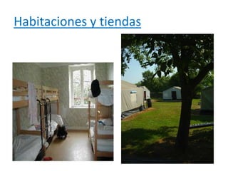 Habitaciones y tiendas
 