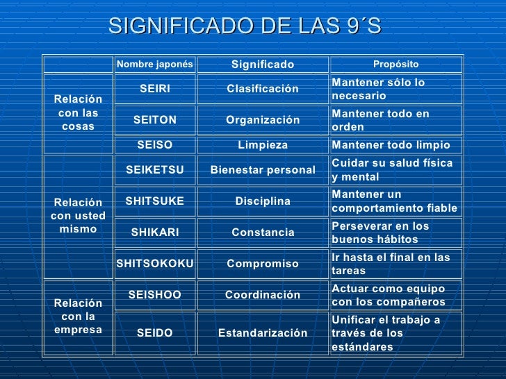 Programa 5 Eses (5 S)