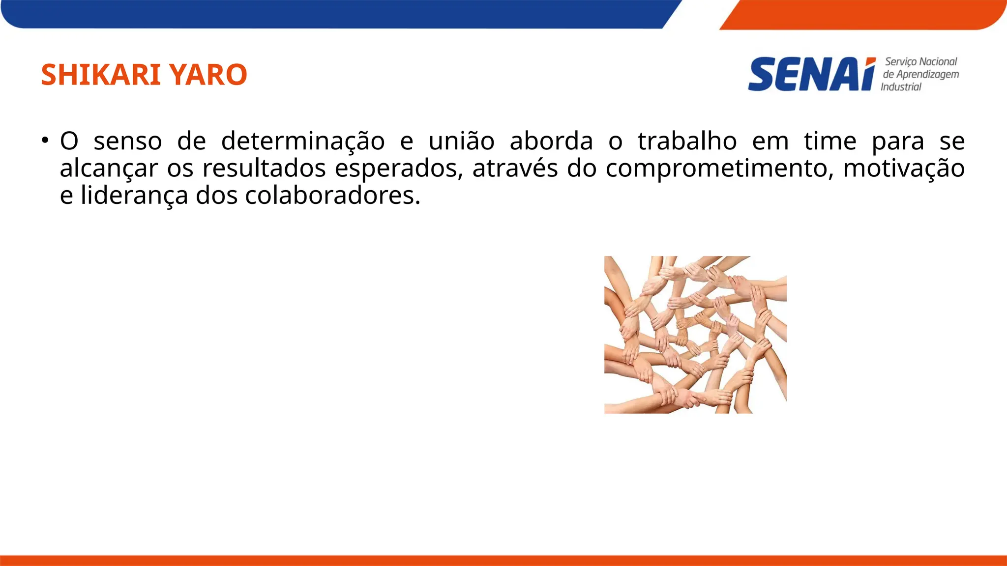 SHIKARI YARO
• O senso de determinação e união aborda o trabalho em time para se
alcançar os resultados esperados, através do comprometimento, motivação
e liderança dos colaboradores.
 