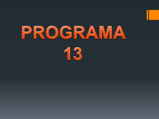 Programaa 13
