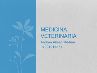 Andrea Abreo Medina
97091915271
MEDICINA
VETERINARIA
 