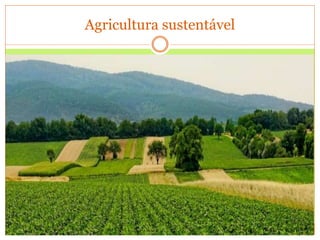 Agricultura sustentável
 