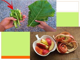 Programa Agrinho.pptx