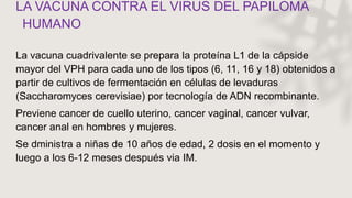 LA VACUNA CONTRA EL VIRUS DEL PAPILOMA
HUMANO
La vacuna cuadrivalente se prepara la proteína L1 de la cápside
mayor del VPH para cada uno de los tipos (6, 11, 16 y 18) obtenidos a
partir de cultivos de fermentación en células de levaduras
(Saccharomyces cerevisiae) por tecnología de ADN recombinante.
Previene cancer de cuello uterino, cancer vaginal, cancer vulvar,
cancer anal en hombres y mujeres.
Se dministra a niñas de 10 años de edad, 2 dosis en el momento y
luego a los 6-12 meses después via IM.
 