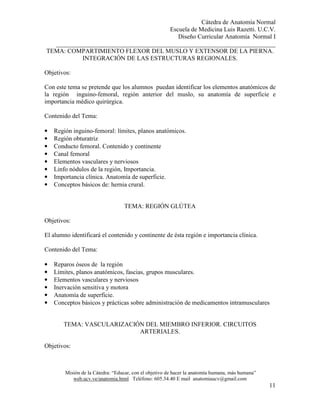 Cátedra de Anatomía Normal
Escuela de Medicina Luis Razetti. U.C.V.
Diseño Curricular Anatomía Normal I
______________________________________________________________________
Misión de la Cátedra: “Educar, con el objetivo de hacer la anatomía humana, más humana”
web.ucv.ve/anatomia.html Teléfono: 605.34.40 E mail anatomiaucv@gmail.com
11
TEMA: COMPARTIMIENTO FLEXOR DEL MUSLO Y EXTENSOR DE LA PIERNA.
INTEGRACIÓN DE LAS ESTRUCTURAS REGIONALES.
Objetivos:
Con este tema se pretende que los alumnos puedan identificar los elementos anatómicos de
la región inguino-femoral, región anterior del muslo, su anatomía de superficie e
importancia médico quirúrgica.
Contenido del Tema:
• Región inguino-femoral: límites, planos anatómicos.
• Región obturatriz
• Conducto femoral. Contenido y continente
• Canal femoral
• Elementos vasculares y nerviosos
• Linfo nódulos de la región, Importancia.
• Importancia clínica. Anatomía de superficie.
• Conceptos básicos de: hernia crural.
TEMA: REGIÓN GLÚTEA
Objetivos:
El alumno identificará el contenido y continente de ésta región e importancia clínica.
Contenido del Tema:
• Reparos óseos de la región
• Límites, planos anatómicos, fascias, grupos musculares.
• Elementos vasculares y nerviosos
• Inervación sensitiva y motora
• Anatomía de superficie.
• Conceptos básicos y prácticas sobre administración de medicamentos intramusculares
TEMA: VASCULARIZACIÓN DEL MIEMBRO INFERIOR. CIRCUITOS
ARTERIALES.
Objetivos:
 