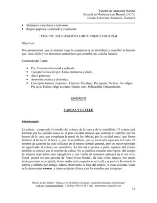 Cátedra de Anatomía Normal
Escuela de Medicina Luis Razetti. U.C.V.
Diseño Curricular Anatomía Normal I
______________________________________________________________________
Misión de la Cátedra: “Educar, con el objetivo de hacer la anatomía humana, más humana”
web.ucv.ve/anatomia.html Teléfono: 605.34.40 E mail anatomiaucv@gmail.com
13
• Elementos vasculares y nerviosos
• Región poplítea. Contenido y continente
TEMA: PIE. INTEGRACIÓN COMO UNIDAD FUNCIONAL
Objetivos:
Nos proponemos que el alumno tenga la competencia de identificar y describir la función
que tiene el pie y los elementos anatómicos que contribuyen a dicha función.
Contenido del Tema:
• Pie. Anatomía funcional y aplicada
• Topografía ósea del pie: Tarso, metatarso y dedos
• Arcos plantares
• Anatomía estática y dinámica
• Conceptos básicos: Esquince. Fractura. Pie plano. Pie equino. Pie talo. Pie valgos.
Pie cavo. Hallux valgo extremo. Quinto varo. Polidactilia. Onicomicosis.
UNIDAD III
CABEZA Y CUELLO
IntroducciónIntroducciónIntroducciónIntroducción
La cabeza comprende el estudio del cráneo, de la cara y de la mandíbula. El cráneo está
formado por las paredes óseas de la gran cavidad craneal, que contiene el cerebro; por los
huesos de la cara, que completan la pared de las órbitas; por la cavidad nasal, que forma
también el techo de la boca, y por la mandíbula, que se encuentra separada del resto. El
nombre de calavera ha sido utilizado en el mismo sentido general, pero es mejor restringir
su significado al cráneo sin mandíbula. La bóveda craneana o parte superior del cráneo
también se conoce con el nombre de calota. No se justifica estudiar esta región del cuerpo
de manera descriptiva sino topográfica y con visión de anatomía aplicada en el ser vivo.
Usted puede ver una persona de frente (vista frontal), de lado (vista lateral), por detrás
(vista posterior u occipital), desde arriba (vista superior o vertical) y si pudiera levantarle la
cabeza y mirarlo por debajo, estaría observando la base del cráneo. A estas distintas vistas
se le denominan normas y tienen relación clínica y en los estudios por imágenes.
 