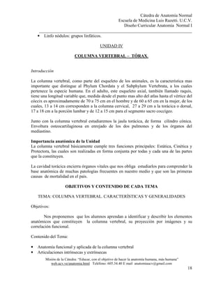 Cátedra de Anatomía Normal
Escuela de Medicina Luis Razetti. U.C.V.
Diseño Curricular Anatomía Normal I
______________________________________________________________________
Misión de la Cátedra: “Educar, con el objetivo de hacer la anatomía humana, más humana”
web.ucv.ve/anatomia.html Teléfono: 605.34.40 E mail anatomiaucv@gmail.com
18
• Linfo nódulos: grupos linfáticos.
UNIDAD IV
COLUMNA VERTEBRAL – TÓRAX.
Introducción
La columna vertebral, como parte del esqueleto de los animales, es la característica mas
importante que distingue al Phylum Chordata y el Subphylum Vertebrata, a los cuales
pertenece la especie humana. En el adulto, este esqueleto axial, también llamado raquis,
tiene una longitud variable que, medida desde el punto mas alto del atlas hasta el vértice del
cóccix es aproximadamente de 70 a 75 cm en el hombre y de 60 a 65 cm en la mujer, de los
cuales, 13 a 14 cm corresponden a la columna cervical, 27 a 29 cm a la torácica o dorsal,
17 a 18 cm a la porción lumbar y de 12 a 15 cm para el segmento sacro coccígeo.
Junto con la columna vertebral estudiaremos la jaula torácica, de forma cilindro cónica.
Envoltura osteocartilaginosa en enrejado de los dos pulmones y de los órganos del
mediastino.
Importancia anatómica de la Unidad
La columna vertebral básicamente cumple tres funciones principales: Estática, Cinética y
Protectora, las cuales son realizadas en forma conjunta por todas y cada una de las partes
que la constituyen.
La cavidad torácica encierra órganos vitales que nos obliga estudiarlos para comprender la
base anatómica de muchas patologías frecuentes en nuestro medio y que son las primeras
causas de mortalidad en el país.
OBJETIVOS Y CONTENIDO DE CADA TEMA
TEMA: COLUMNA VERTEBRAL. CARACTERÍSTICAS Y GENERALIDADES
Objetivos:
Nos proponemos que los alumnos aprendan a identificar y describir los elementos
anatómicos que constituyen la columna vertebral, su proyección por imágenes y su
correlación funcional.
Contenido del Tema:
• Anatomía funcional y aplicada de la columna vertebral
• Articulaciones intrínsecas y extrínsecas
 