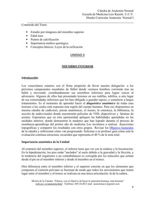 Cátedra de Anatomía Normal
Escuela de Medicina Luis Razetti. U.C.V.
Diseño Curricular Anatomía Normal I
______________________________________________________________________
Misión de la Cátedra: “Educar, con el objetivo de hacer la anatomía humana, más humana”
web.ucv.ve/anatomia.html Teléfono: 605.34.40 E mail anatomiaucv@gmail.com
9
Contenido del Tema:
• Estudio por imágenes del miembro superior
• Edad ósea
• Puntos de calcificación
• Importancia médico quirúrgica
• Conceptos básicos: Leyes de la osificación
UNIDAD II
MIEMBRO INFERIOR
IntroducciónIntroducciónIntroducciónIntroducción
Los venezolanos estamos con el firme propósito de llevar nuestra delegación a los
próximos campeonatos mundiales de fútbol donde veremos hombres corriendo tras un
balón y moviendo coordinadamente sus miembros inferiores para lograr vencer al
adversario. Algunos de ellos han presentado lesiones en sus rodillas, tobillos, u otro lugar
de sus extremidades inferiores que los han obligado a guardar reposo, o someterse a largos
tratamientos. Es el momento de aprender hacer el diagnóstico anatómico de todas esas
lesiones a las cuales está expuesta ésta región del cuerpo humano. Para eso disponemos en
nuestra cátedra de cadáveres, piezas anatómicas, el museo, la osteoteca, la biblioteca, la
sección de audiovisuales donde encontrarán películas de VHS, diapositivas y láminas de
acetato. Esperamos que en ésta oportunidad apliquen las habilidades aprendidas en las
unidades anterior, donde demuestren la madurez que han logrado durante el proceso de
enseñanza-aprendizaje del primer año de medicina. Los invitamos a realizar disecciones
topográficas y compartir los resultados con otros grupos. Revisar los Objetivo Generales
de la cátedra y reflexionar cómo van progresando. Soliciten a su profesor guía cómo está la
evaluación continua estructura, recuerden que representa el 40 % de la nota total.
Importancia anatómica de la Unidad
Al contrario del miembro superior, el inferior tiene que ver con la estática y la locomoción.
En la bipedestación, los pies están "anclados" al suelo debido a la gravedad y la fricción, y
la tendencia del organismo a un contrabalanceo es corregida por los músculos que actúan
desde el pie en el miembro inferior y desde el miembro en el tronco.
Otra diferencia entre el miembro inferior y el superior consiste en que los elementos que
componen el cinturón pelviano se fusionan de modo que todos los movimientos que tienen
lugar entre el miembro y el tronco se realizan en una única articulación: la de la cadera..
 
