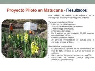 Proyecto Piloto en Matucana - Resultados
Este modelo ha servido como evidencia de la
estrategia de intervención del Programa Andenes.
Tiene como resultados físicos.
- 4,220 mts de canal construido
- 25,5 has de rehabilitación de andenes.
- 3 has de riego presurizado.
- 3 Fito toldos con rosas.
- En 5 viveros se han producido 30,000 especies
entre forestales y flores.
- 6 has de plantación forestal
- 28 parcelas demostrativas de cultivos para el
mercado, forrajes, andinos.
Resultados de productividad
- La productividad agrícola se ha incrementado en
mas del 80% en todos los cultivos sembrados en
andenes.
- Menor perdida de agua en la microcuenca (45%)
- Introducción de nuevos cultivos (seguridad
alimentaria y comerciales)
 