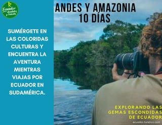 ANDES Y AMAZONIA
10 DÍAS
E X P L O R A N D O L A S
G E M A S E S C O N D I D A S
D E E C U A D O R
SUMÉRGETE EN
LAS COLORI...