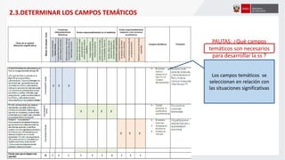 Los campos temáticos se
seleccionan en relación con
las situaciones significativas
2.3.DETERMINAR LOS CAMPOS TEMÁTICOS
PAUTAS: ¿Què campos
temáticos son necesarios
para desarrollar la ss ?
 