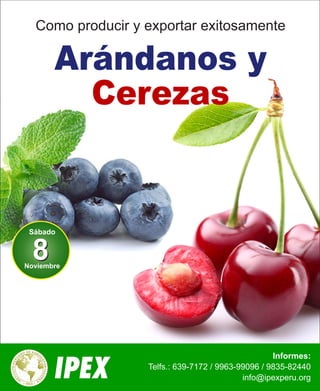 Como producir y exportar exitosamente 
Informes: 
Arándanos y 
Cerezas 
Telfs.: 639-7172 / 9963-99096 / 9835-82440 
info@ipexperu.org 
88 Sábado 
Noviembre 
 