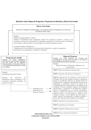 MINISTERIO DE EDUCACIÓN
UNIDAD DE CURRÍCULUM Y EVALUACIÓN
JUNIO 2011
10
Relación entre Mapa de Progreso, Programa de Estudio y Marco Curricular
Integrados en la
formulación del
Mapa de Progreso
Programa de estudio
Orientan la labor pedagógica,
estableciendo Aprendizajes Esperados
que dan cuenta de los Objetivos
Fundamentales y Contenidos Mínimos,
y los organiza temporalmente a través
de unidades.
Ejemplo:
Aprendizaje Esperado I° medio
Explicar las relaciones de
dependencia entre organismos en un
ecosistema utilizando pirámides de
materia y energía.
Marco Curricular
Prescribe los Objetivos Fundamentales y los Contenidos Mínimos Obligatorios que todos los
estudiantes deben lograr.
Ejemplo:
Objetivo Fundamental para Iº medio
Analizar la dependencia entre organismos respecto de los flujos de materia y energía en un
ecosistema, en especial, la función de los organismos autótrofos y la relación entre los eslabones
de las tramas y cadenas tróficas con la energía y las sustancias químicas nocivas.
Contenidos Mínimos Obligatorios
Comparación de los mecanismos de incorporación de materia y energía en organismos
heterótrofos (microorganismos y animales) y autótrofos.
Nivel 7 Evalúa críticamente las relaciones entre…
Nivel 6 Comprende cómo afectan a la biosfera las…
Nivel 4 Comprende las características básicas…
Nivel 3 Comprende que en la biosfera…
Nivel 5 Comprende que los ecosistemas se interconectan en
la biosfera sobre la base de flujos de materia y energía que
pueden ser cuantificados. Reconoce los atributos básicos de
las poblaciones y comunidades, determinando los factores que
condicionan su distribución. Reconoce los efectos de la
actividad humana en la biodiversidad y en el equilibrio de los
ecosistemas. Describe problemas, hipótesis, procedimientos
experimentales y conclusiones en investigaciones científicas
clásicas, relacionándolas con su contexto sociohistórico.
Interpreta y explica las tendencias de un conjunto de datos
empíricos propios o de otras fuentes en términos de los
conceptos en juego o de las hipótesis que ellos apoyan o
refutan. Reconoce las limitaciones y utilidad de modelos y
teorías como representaciones científicas de la realidad.
Nivel 2 Comprende el hábitat como un espacio…
Nivel 1 Reconoce condiciones del ambiente…
Ejemplo:
Mapa de Progreso. Organismo, ambiente y sus
interacciones
Mapa de Progreso
Entrega una visión sintética del progreso del
aprendizaje en un área clave del sector, y se ajusta a
las expectativas del Marco Curricular.
 