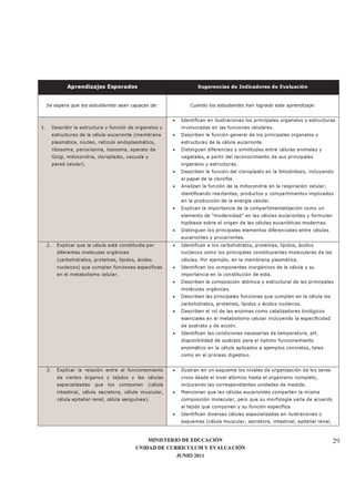 MINISTERIO DE EDUCACIÓN
UNIDAD DE CURRÍCULUM Y EVALUACIÓN
JUNIO 2011
29
Aprendizajes Esperados Sugerencias de Indicadores de Evaluación
Se espera que los estudiantes sean capaces de: Cuando los estudiantes han logrado este aprendizaje:
1. Describir la estructura y función de organelos y
estructuras de la célula eucarionte (membrana
plasmática, núcleo, retículo endoplasmático,
ribosoma, peroxisoma, lisosoma, aparato de
Golgi, mitocondria, cloroplasto, vacuola y
pared celular).
• Identifican en ilustraciones los principales organelos y estructuras
involucradas en las funciones celulares.
• Describen la función general de los principales organelos y
estructuras de la célula eucarionte.
• Distinguen diferencias y similitudes entre células animales y
vegetales, a partir del reconocimiento de sus principales
organelos y estructuras.
• Describen la función del cloroplasto en la fotosíntesis, incluyendo
el papel de la clorofila.
• Analizan la función de la mitocondria en la respiración celular,
identificando reactantes, productos y compartimentos implicados
en la producción de la energía celular.
• Explican la importancia de la compartimentalización como un
elemento de “modernidad” en las células eucariontes y formulan
hipótesis sobre el origen de las células eucarióticas modernas.
• Distinguen los principales elementos diferenciales entre células
eucariontes y procariontes.
2. Explicar que la célula está constituida por
diferentes moléculas orgánicas
(carbohidratos, proteínas, lípidos, ácidos
nucleicos) que cumplen funciones específicas
en el metabolismo celular.
• Identifican a los carbohidratos, proteínas, lípidos, ácidos
nucleicos como los principales constituyentes moleculares de las
células. Por ejemplo, en la membrana plasmática.
• Identifican los componentes inorgánicos de la célula y su
importancia en la constitución de esta.
• Describen la composición atómica y estructural de las principales
moléculas orgánicas.
• Describen las principales funciones que cumplen en la célula los
carbohidratos, proteínas, lípidos y ácidos nucleicos.
• Describen el rol de las enzimas como catalizadores biológicos
esenciales en el metabolismo celular incluyendo la especificidad
de sustrato y de acción.
• Identifican las condiciones necesarias de temperatura, pH,
disponibilidad de sustrato para el óptimo funcionamiento
enzimático en la célula aplicados a ejemplos concretos, tales
como en el proceso digestivo.
3. Explicar la relación entre el funcionamiento
de ciertos órganos y tejidos y las células
especializadas que los componen (célula
intestinal, célula secretora, célula muscular,
célula epitelial renal, célula sanguínea).
• Ilustran en un esquema los niveles de organización de los seres
vivos desde el nivel atómico hasta el organismo completo,
incluyendo las correspondientes unidades de medida.
• Mencionan que las células eucariontes comparten la misma
composición molecular, pero que su morfología varía de acuerdo
al tejido que componen y su función específica.
• Identifican diversas células especializadas en ilustraciones o
esquemas (célula muscular, secretora, intestinal, epitelial renal,
 