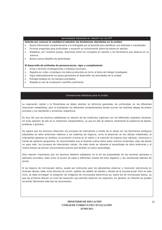 MINISTERIO DE EDUCACIÓN
UNIDAD DE CURRÍCULUM Y EVALUACIÓN
JUNIO 2011
31
Aprendizajes Esperados en relación con los OFT
Interés por conocer la realidad al estudiar los fenómenos abordados en la unidad
• Busca información complementaria a la entregada por el docente para satisfacer sus intereses e inquietudes.
• Formula preguntas para profundizar o expandir su conocimiento sobre los temas en estudio.
• Establece, por iniciativa propia, relaciones entre los conceptos en estudio y los fenómenos que observa en su
entorno.
• Busca nuevos desafíos de aprendizaje.
El desarrollo de actitudes de perseverancia, rigor y cumplimiento
• Inicia y termina investigaciones o trabajos asumidos.
• Registra en orden cronológico los datos producidos en torno al tema de trabajo investigado.
• Sigue adecuadamente los pasos aprendidos al desarrollar las actividades de la unidad.
• Entrega trabajos en los tiempos acordados.
• Respeta el uso de vocabulario científico pertinente.
Orientaciones didácticas para la unidad
La respiración celular y la fotosíntesis se deben abordar en términos generales, sin profundizar en las diferentes
reacciones metabólicas, pero sí localizando los diferentes compartimentos donde ocurren las distintas etapas de ambos
procesos y los reactantes y productos respectivos.
Es muy útil que los alumnos establezcan la relación de las moléculas orgánicas con los diferentes organelos celulares.
Un buen ejemplo de ello es la membrana citoplasmática, ya que en ella se observa claramente la presencia de lípidos,
proteínas y glúcidos.
Se espera que los alumnos relacionen los procesos de intercambio a través de la célula con los fenómenos biológicos
estudiados en años anteriores relativos a los sistemas de órganos, como la absorción en las células intestinales, el
intercambio gaseoso en alvéolos, la excreción urinaria en el nefrón y la nutrición de órganos (por ejemplo, músculos) a
través de capilares sanguíneos. Es recomendable que el docente vuelva sobre estos mismos contenidos, esta vez dando
un paso más: los procesos de intercambio celular. De este modo se refuerza el aprendizaje de años anteriores y al
mismo tiempo se activan conocimientos previos que facilitan el nuevo aprendizaje.
Otra relación importante que los alumnos deberán establecer es la de las propiedades de las enzimas aplicadas a
ejemplos concretos, tales como la acción de estas a diferentes niveles del tubo digestivo y las condiciones óptimas de
acción.
Si se dispone de microscopio óptico, puede ser motivante para los estudiantes observar y reconocer estructuras en
diversas células, tales como láminas de corcho, epitelio de catafilo de cebolla y células de la mucosa bucal. Pero en este
nivel, se debe privilegiar la utilización de imágenes de microscopía electrónica por sobre las de microscopía óptica, ya
que las primeras ofrecen un nivel de resolución que permite observar los organelos. En general, en Internet se pueden
encontrar fácilmente este tipo de documentos.
 